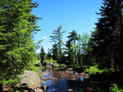 Adirondack Wetlands:  Heron Marsh from the Barnum Brook Trail boardwalk at the Paul Smiths VIC (3 June 2011)